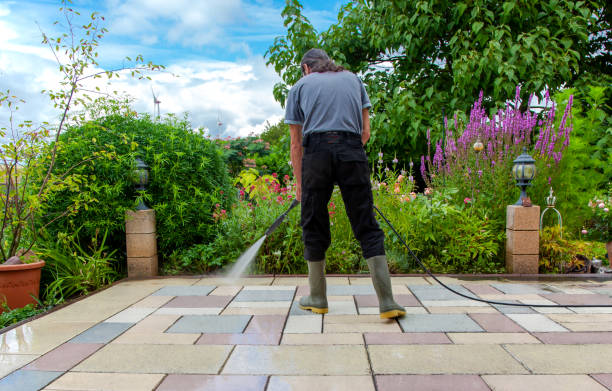 Best Winterizing Services  in Freer, TX