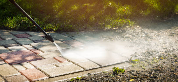 Best Driveway Pressure Washing  in Freer, TX